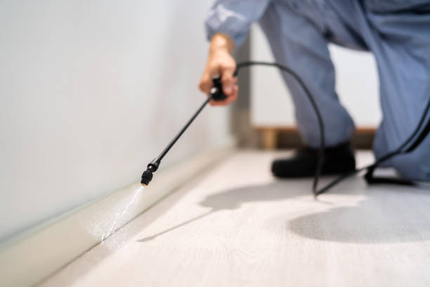 Licensed Pest Control service in McGregor, FL - Show Me Pest Control